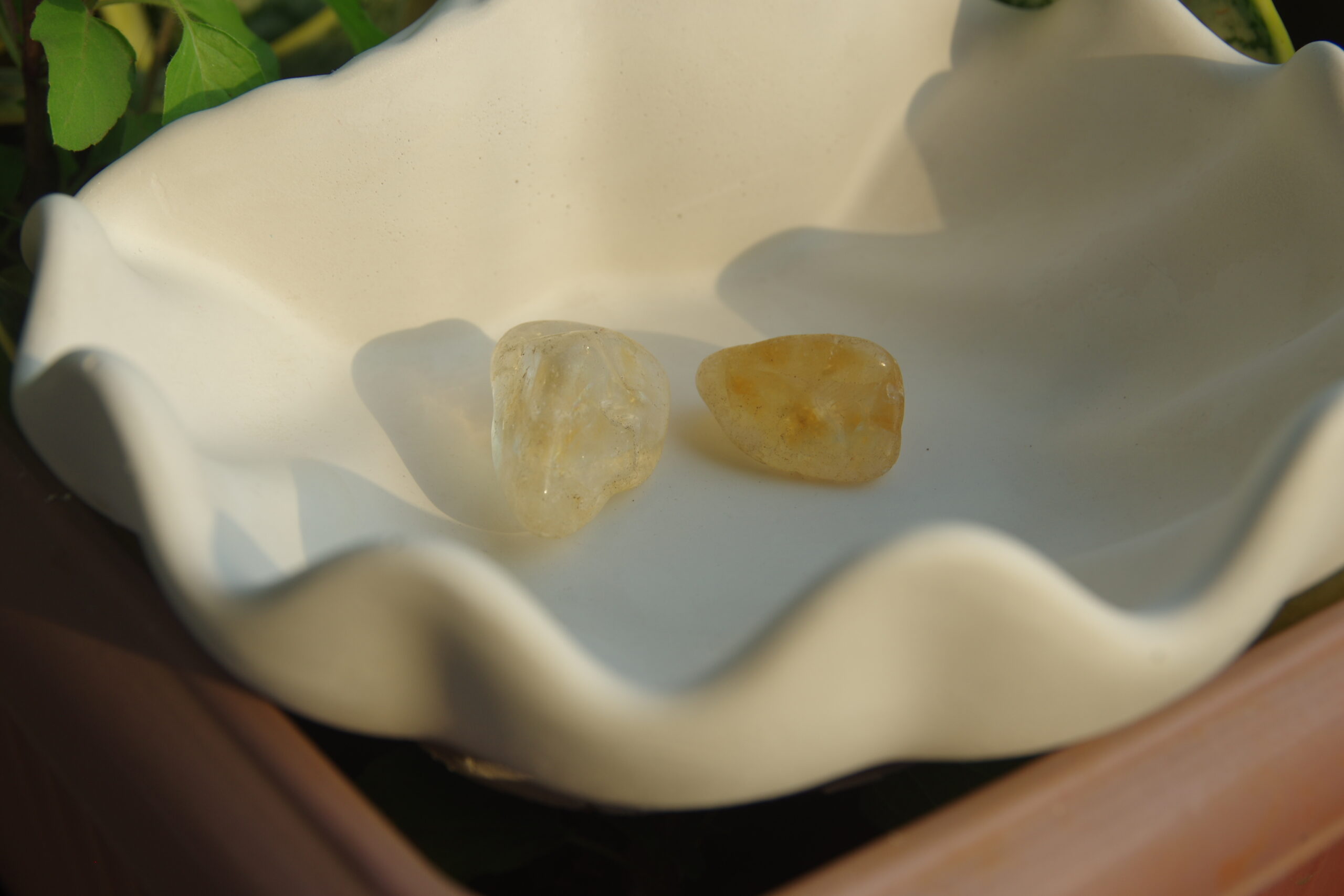 1.3Citrine Scaled