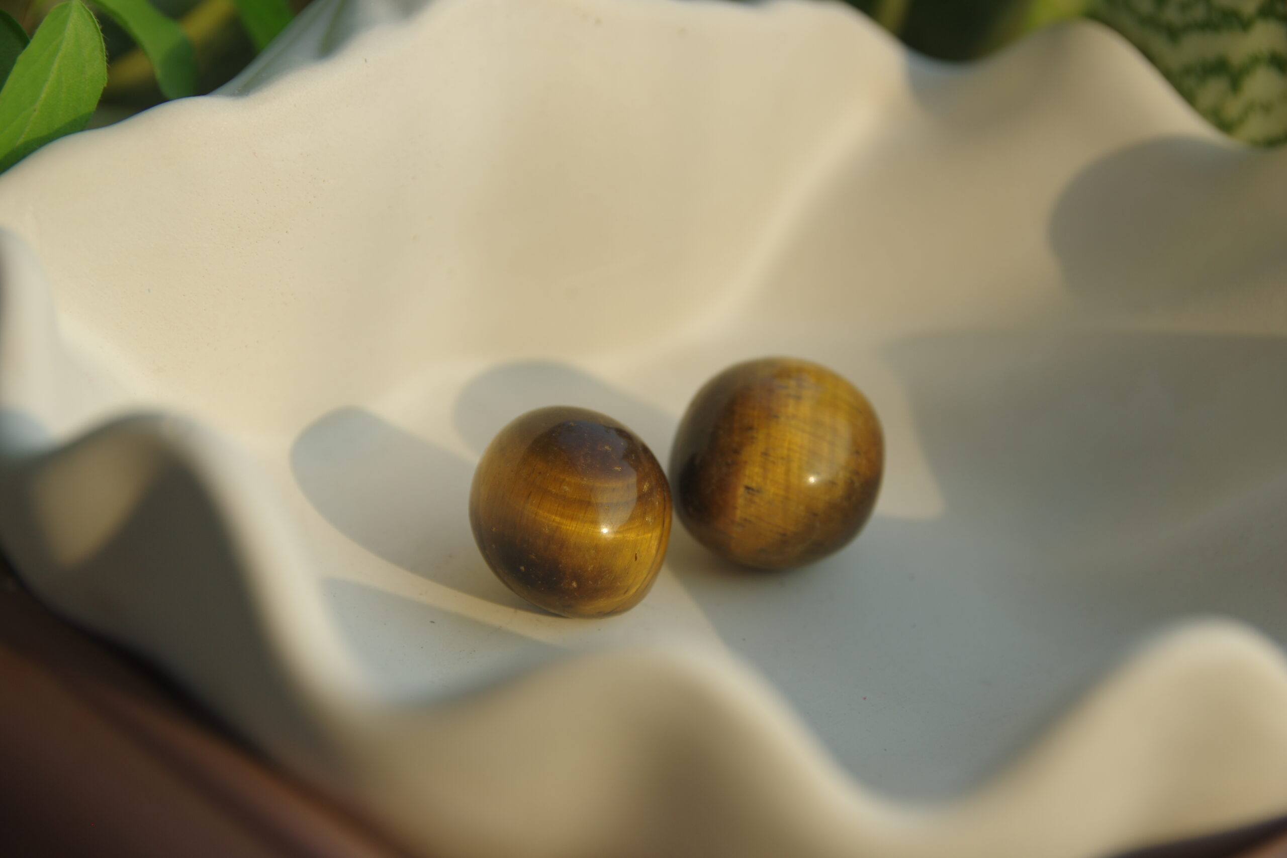 1.8Tiger Eye Scaled