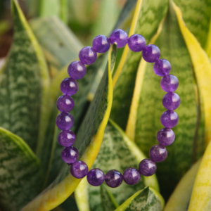 Amethyst Bracelet