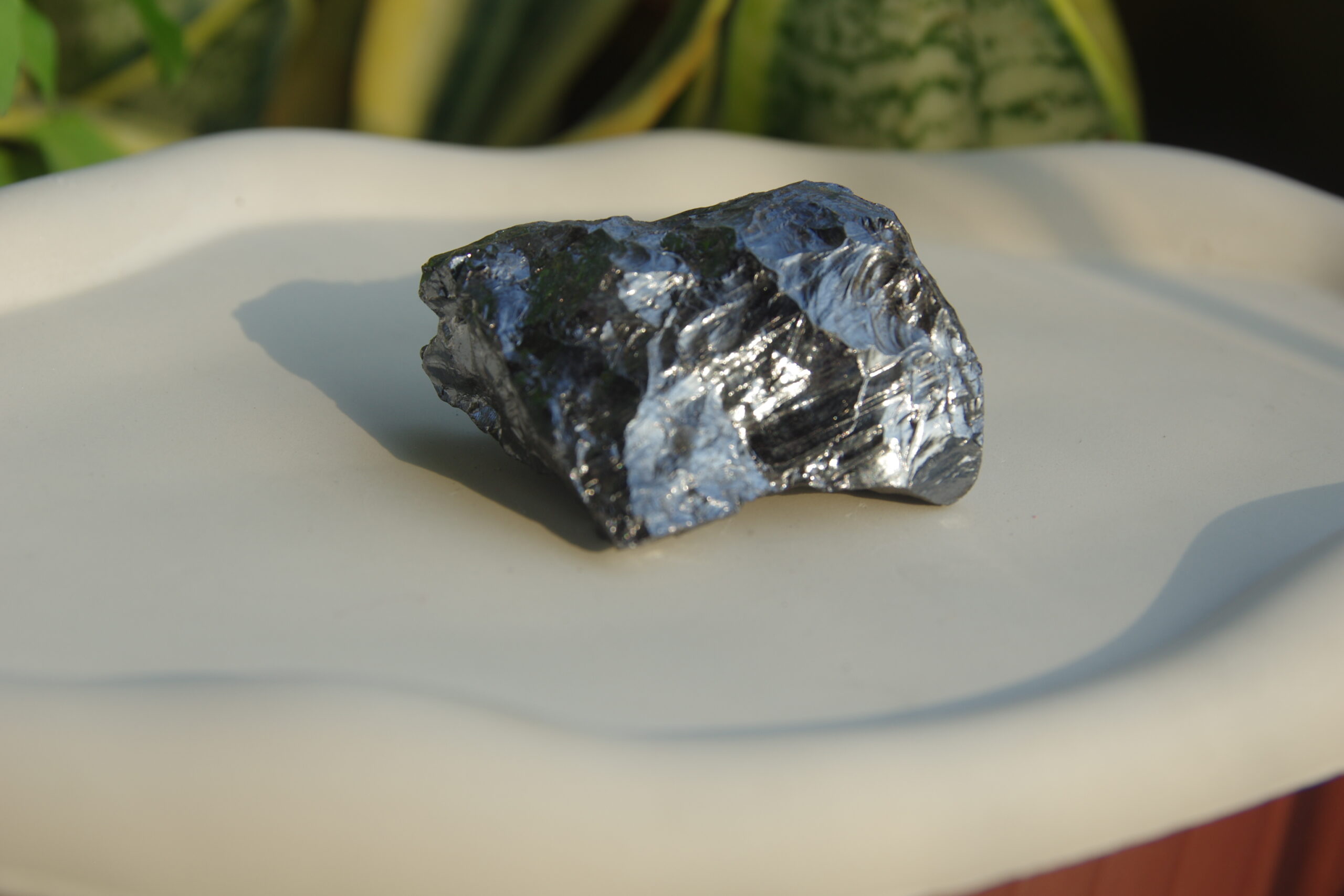 auto draft auto draft