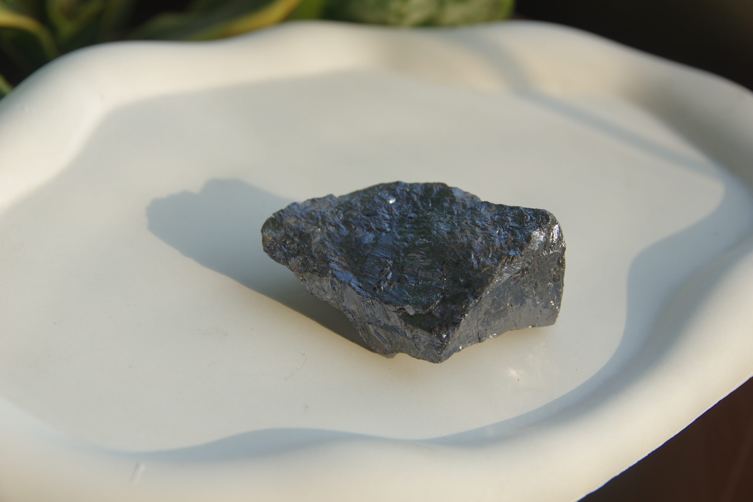 auto draft auto draft