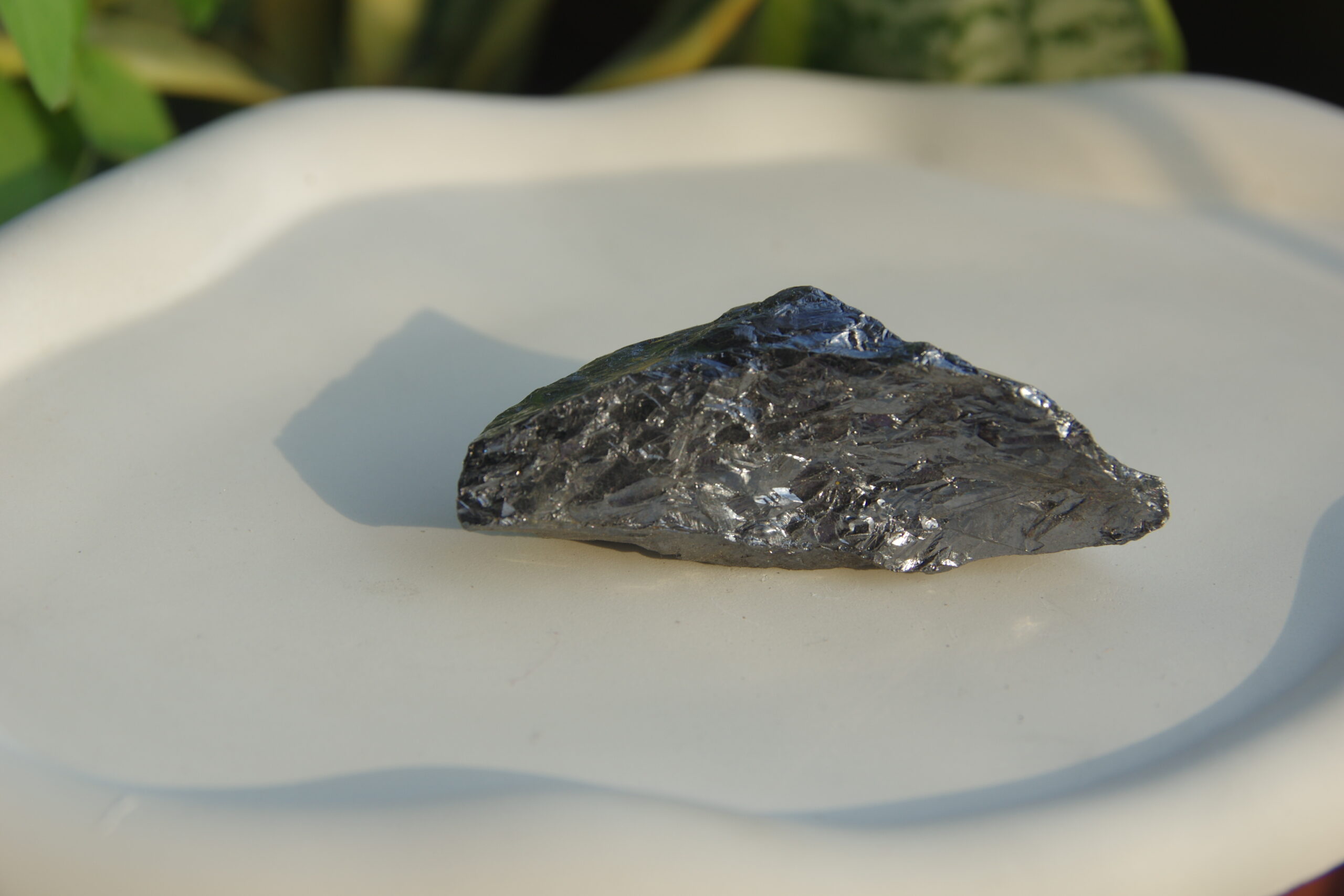 auto draft auto draft