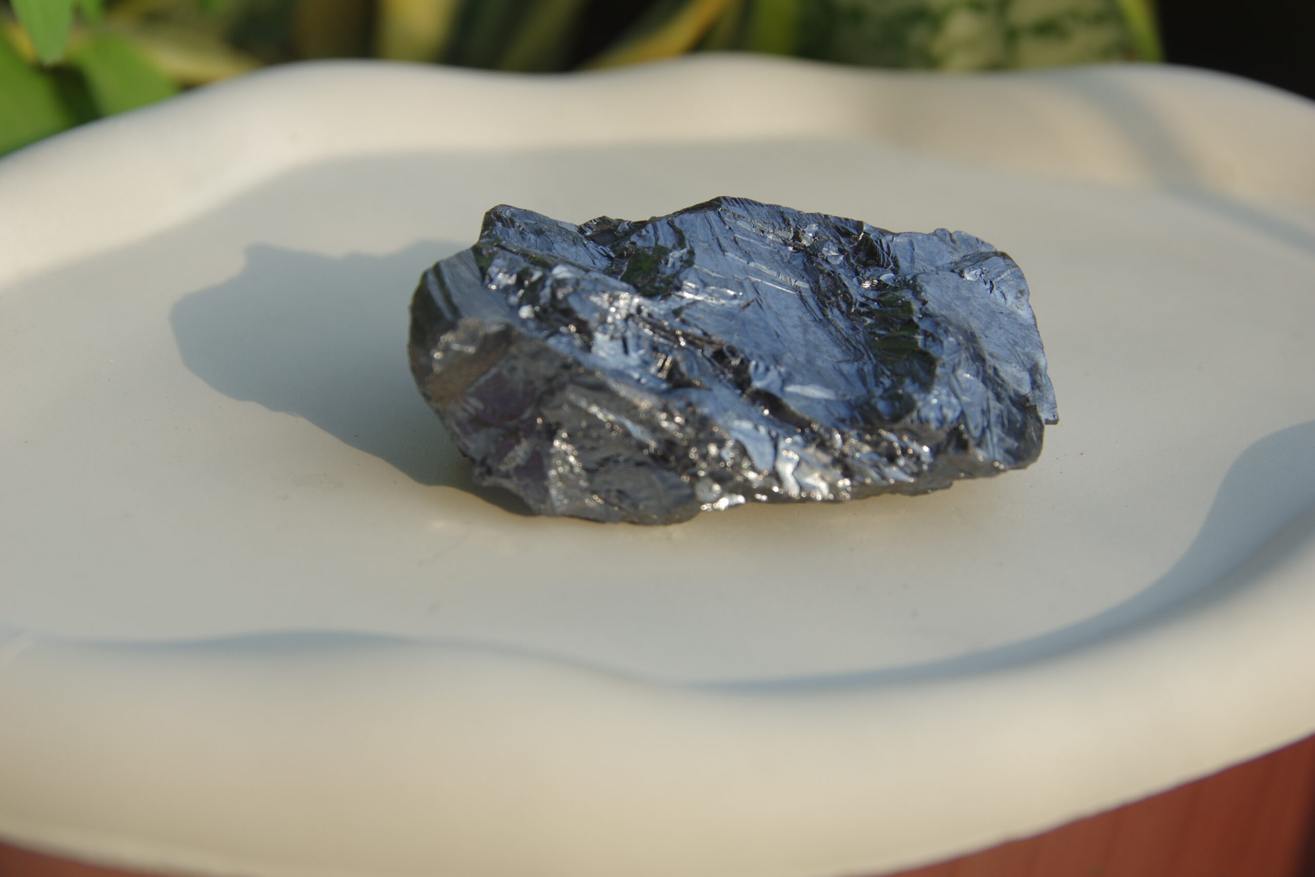 auto draft auto draft