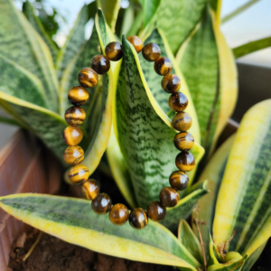 Tiger Eye Bracelet