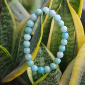 Amazonite Bracelet