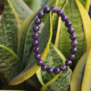Charoite Bracelet