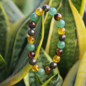 Money Magnet Bracelet