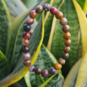 Petrified Wood Bracelet
