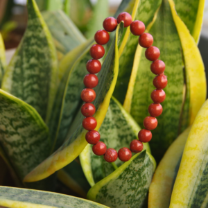 Red Jasper Bracelet