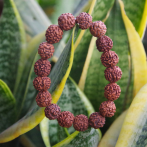Rudraksha Bracelet